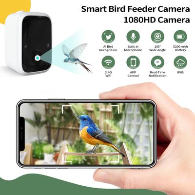 Show full view: Coziwow Wooden Smart Bird Feeder with Camera Solar Powered for Wild Bird, 2.5-L slide 6 of 10