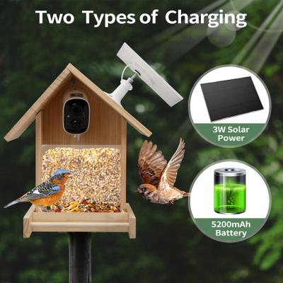 Show full view: Coziwow Wooden Smart Bird Feeder with Camera Solar Powered for Wild Bird, 2.5-L slide 9 of 10