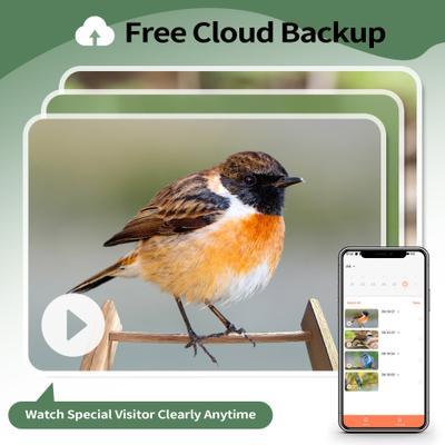 Show full view: Coziwow Wooden Smart Bird Feeder with Camera Solar Powered for Wild Bird, 2.5-L slide 7 of 10