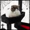 Show in main carousel: KAMABOKO Halloween Gothic 46.8-in Cat Tree & Tower with Coffin Bed, Black slide 3 of 6