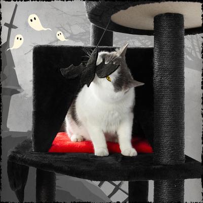 Show full view: KAMABOKO Multi-Level Gothic 59-in Cat Tree & Tower with Condo, Black & Red slide 5 of 5