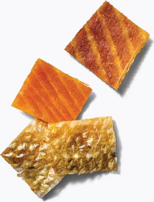 Show full view: Finfare Smoked Salmon Skin Bite Freeze-Dried Dog Treats, 9-oz bag slide 5 of 7