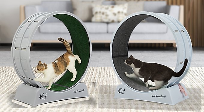 SYKJ Cat Treadmill 直径110cm Amazon.com: COZIWOW Cat Wheel for Indoor Cats Exercise