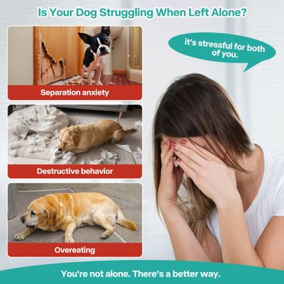 Show full view: allforpaws Calming Pals Lick A Disk Dog Toy slide 2 of 8