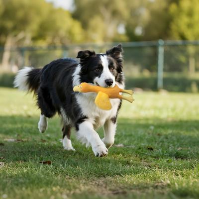 Show full view: allforpaws Zootex Soft Wing Duck Plush Dog Toy slide 7 of 8