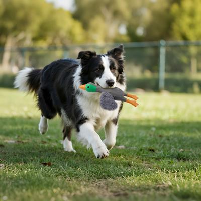Show full view: allforpaws Zootex Soft Wing Mallard Plush Dog Toy slide 7 of 8