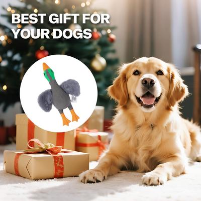 Show full view: allforpaws Zootex Soft Wing Mallard Plush Dog Toy slide 6 of 8