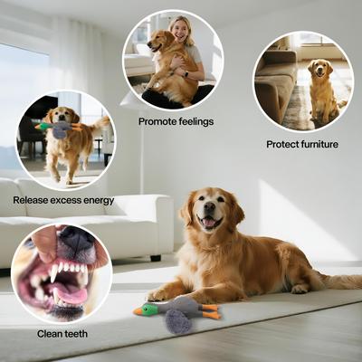 Show full view: allforpaws Zootex Soft Wing Mallard Plush Dog Toy slide 3 of 8