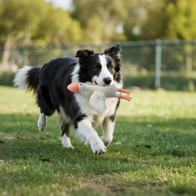 Show full view: allforpaws Zootex Soft Wing Seagull Plush Dog Toy slide 7 of 8
