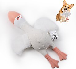 allforpaws Zootex Soft Wing Seagull Plush Dog Toy