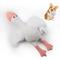 Show in main carousel: allforpaws Zootex Soft Wing Seagull Plush Dog Toy slide 1 of 8