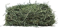 Viking Farmer 3rd Cut Timothy Hay for Rabbits & Small Pets, 7-lb box slide 2 of 8