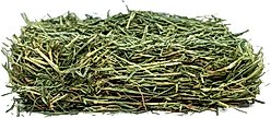 Viking Farmer Oat Hay for Rabbits & Small Pets, 7-lb box slide 2 of 8