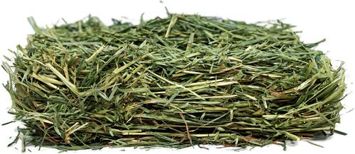 Show full view: Viking Farmer Oat Hay for Rabbits & Small Pets, 7-lb box slide 3 of 9
