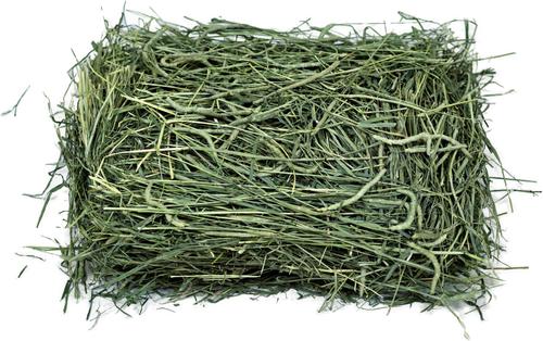 Show full view: Viking Farmer 1st Cut Timothy Hay for Rabbits & Small Pets, 8-lb box slide 3 of 5
