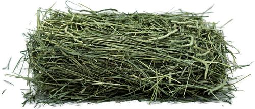 Show full view: Viking Farmer 1st Cut Timothy Hay for Rabbits & Small Pets, 8-lb box slide 2 of 5