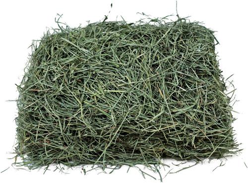 Show full view: Viking Farmer 3rd Cut Timothy Hay for Rabbits & Small Pets, 7-lb box slide 3 of 9