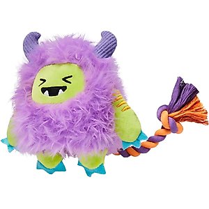 Frisco Halloween Monster Plush with Rope Squeaky Dog Toy, Small/Medium