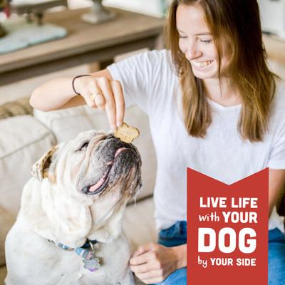 Show full view: Cloud Star Wag More Bark Less Grain-Free Pumpkin Crunchy Dog Treats, 14-oz box slide 7 of 11