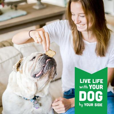 Show full view: Cloud Star Wag More Bark Less Grain-Free Chicken & Sweet Potatoes Crunchy Dog Treats, 14-oz box slide 7 of 11