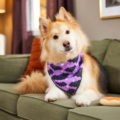 Show full view: Frisco Reversible Bats & Striped Bandana with Pom-Pom Trim Costume, X-Large/XX-Large slide 5 of 9