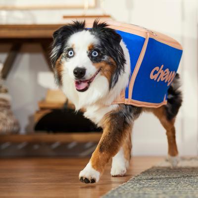 Show full view: Frisco Chewy Branded Box Dog & Cat Costume, Large slide 7 of 10