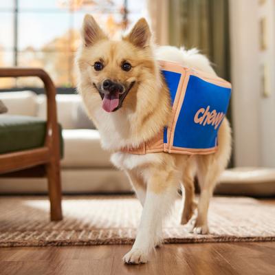 Show full view: Frisco Chewy Branded Box Dog & Cat Costume, Medium slide 8 of 11