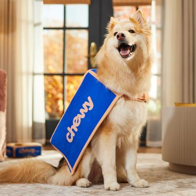 Show full view: Frisco Chewy Branded Box Dog & Cat Costume, X-Large slide 7 of 10