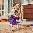 Show in main carousel: Frisco Front Walking Pop Star Dog Costume, Large slide 7 of 10