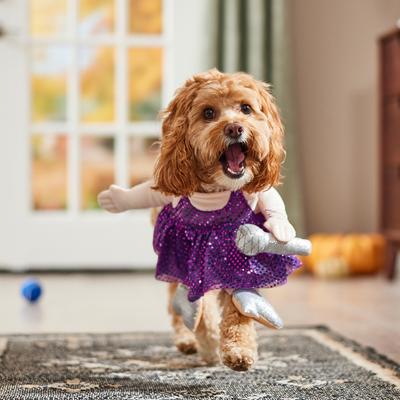 Show full view: Frisco Front Walking Pop Star Dog Costume, Small slide 7 of 10