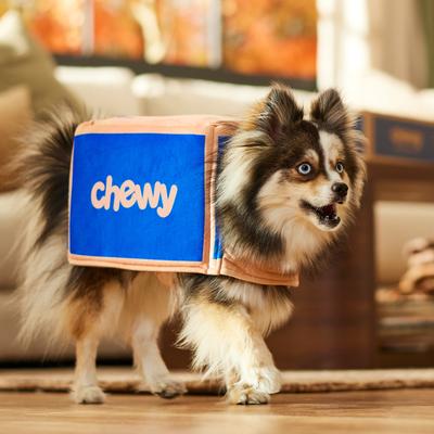 Show full view: Frisco Chewy Branded Box Dog & Cat Costume, Small slide 8 of 11