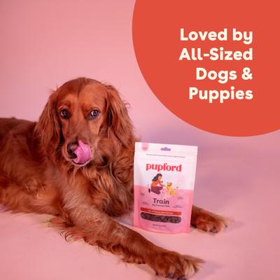 Show full view: Pupford Beef Limited-Ingredient-Diet Adult Soft & Chewy Training Dog Treats, 10-oz bag slide 10 of 11