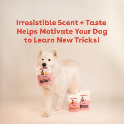 Show full view: Pupford Beef Limited-Ingredient-Diet Adult Soft & Chewy Training Dog Treats, 10-oz bag slide 5 of 11