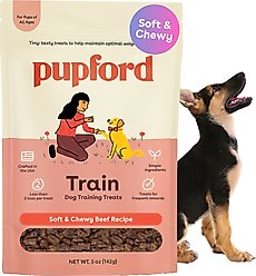 Pupford Beef Limited-Ingredient-Diet Adult Soft & Chewy Training Dog Treats, 5-oz bag