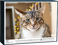 Aether Puzzles Personalized 48 Piece Puzzle slide 1 of 5