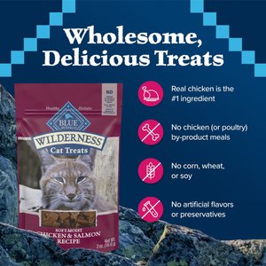 Blue Buffalo Wilderness Chicken & Salmon Grain-Free Cat Treats, 2-oz bag