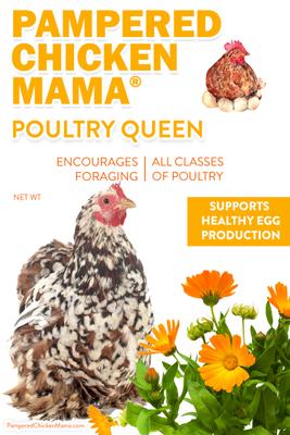 Show full view: Pampered Chicken Mama Poultry Queen Mealworm & Corn Chicken Feed, 10-lb bag slide 7 of 9