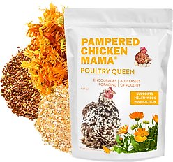 Pampered Chicken Mama Poultry Queen Mealworm & Corn Chicken Feed, 20-lb bag