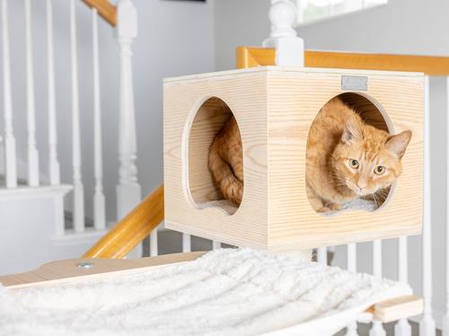 Show full view: Armarkat 89-in Premium Scots Pine Cat Tree Tower slide 7 of 11