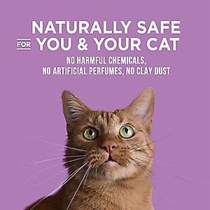 World's Best Lavender Scented Clumping Corn Cat Litter, 28-lb bag