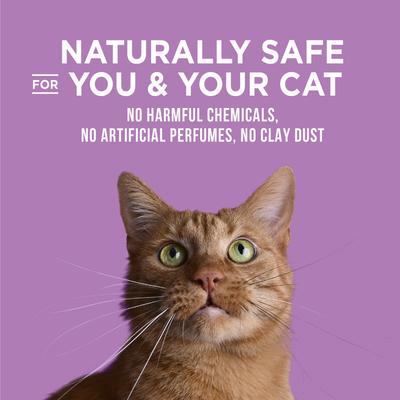 Show full view: World's Best Lavender Scented Clumping Corn Cat Litter, 15-lb bag slide 9 of 12