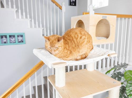 Show full view: Armarkat 89-in Premium Scots Pine Cat Tree Tower slide 8 of 11