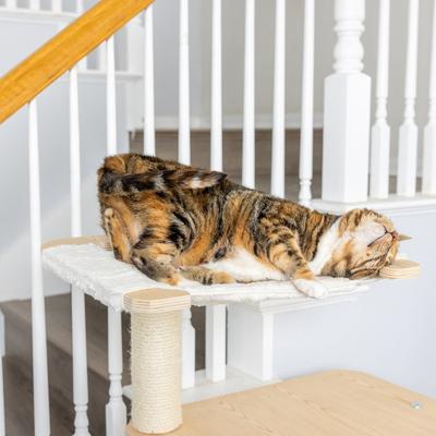 Show full view: Armarkat 54-in Wooden Cat Tree & Condo slide 8 of 13