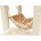 Show in main carousel: Armarkat 65-in Faux Fur Cat Tree & Condo, Beige, 65-in slide 8 of 13