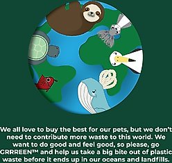 Grrreen Turtle Teaser Cat Toy with Catnip, Green, Small + Fish Teaser Cat Toy with Catnip, Multi, Small slide 2 of 9