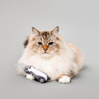 Show full view: Grrreen Arctic Hare Catnip Plush Cat Toy, Grey, Small + Whale Kicker Plush Cat Toy with Catnip, Blue, Small slide 4 of 9