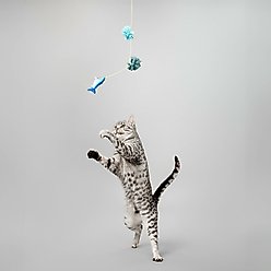 Grrreen Arctic Hare Catnip Plush Cat Toy, Grey, Small + Fish Teaser Cat Toy with Catnip, Multi, Small slide 2 of 9