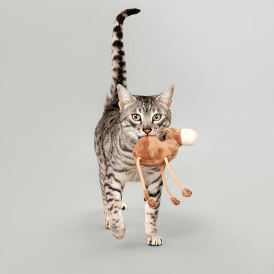 Show full view: Grrreen Whale Kicker Plush Cat Toy with Catnip, Blue, Small + Camel Plush Cat Toy with Catnip, Brown, Small slide 8 of 9