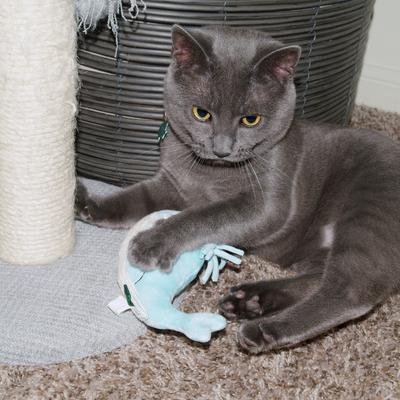 Show full view: Grrreen Whale Kicker Plush Cat Toy with Catnip, Blue, Small + Camel Plush Cat Toy with Catnip, Brown, Small slide 4 of 9