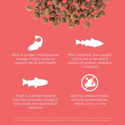 Show full view: Go! Solutions Carnivore Grain-Free Salmon + Cod Recipe Dry Cat Food, 8-lb bag slide 4 of 10